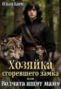Обложка книги "Хозяйка сгоревшего замка, или Волчата ищут маму"