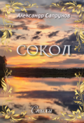 Обложка книги "Сокол"