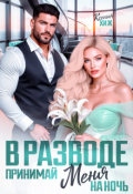 Обложка книги "В разводе. Принимай меня на ночь"