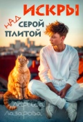 Обложка книги "Искры над серой плитой"