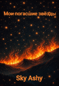 Обложка книги "Мои погасшие звёзды "