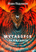 Обложка книги "Мутаборск. Коммунити"