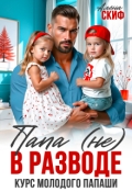 Обложка книги "Папа (не) в разводе. Курс молодого папаши"
