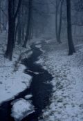 Обложка книги "Февраль "