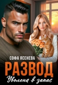 Обложка книги "Развод. Уволена в запас"