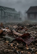 Обложка книги "Одиночество"