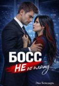 Обложка книги "Босс не по плану"