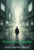 Обложка книги "Каникулы. Судьба"