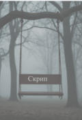 Обложка книги "Скрип"