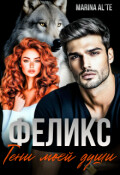 Обложка книги "Феликс. Тени моей души."