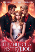 Обложка книги "Принцесса из трущоб"