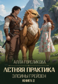 Обложка книги "Летняя практика Элсины Грейзен. Книга 2: Спросите демона"