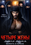 Обложка книги "Четыре жены моего мужа. Выжить в гареме"