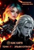 Обложка книги "Как Катя темного эльфа купила"
