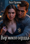 Обложка книги "Вор моего сердца"