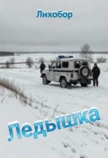 Обложка книги "Ледышка"