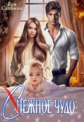Обложка книги "( С )нежное чудо"
