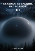 Обложка книги "Нулевая итерация. Настоящее"