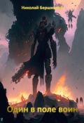 Обложка книги "Один в поле воин"
