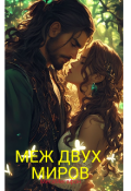 Обложка книги "Меж двух миров"