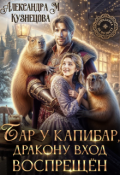Обложка книги "Бар у капибар, дракону вход воспрещен!"