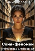 Обложка книги "Соня-феномен. Громоотвод для новичка"