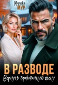 Обложка книги "В разводе. Вернуть бракованную жену"