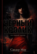 Обложка книги "Черный кролик"
