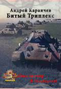 Обложка книги "Битый триплекс"
