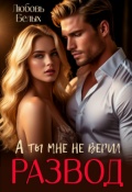 Обложка книги "Развод. А ты мне не верил"