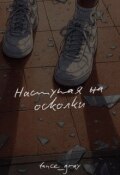 Обложка книги "Наступая на осколки"