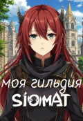 Обложка книги "Моя гильдия"