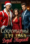 Обложка книги "Секретарша для двух Дедов Морозов"
