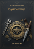 Обложка книги "Судьба в облаках: Тонкая пластина"