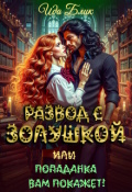 Обложка книги "Развод с Золушкой или Попаданка вам покажет!"