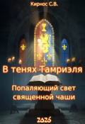 Обложка книги "В тенях Тамриэля: попаляющий свет священной чаши"