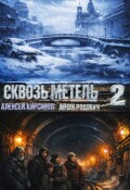 Обложка книги "Сквозь метель 2"