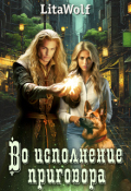 Обложка книги "Во исполнение приговора"