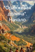 Обложка книги ""Оранжевая долина" Начало"