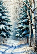 Обложка книги "Зимний лес"