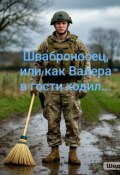 Обложка книги "Шваброносец или как Валера в гости ходил"