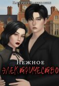 Обложка книги "Нежное электричество "