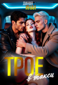 Обложка книги "Трое в такси"