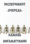 Обложка книги "Эксперимент &laquo;очередь&raquo;"