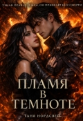 Обложка книги "Пламя в темноте"