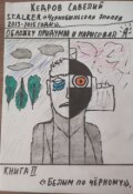 Обложка книги "Белым по чёрному"