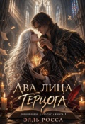 Обложка книги "Два лица Герцога"