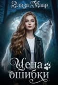 Обложка книги "Цена ошибки"