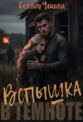 Обложка книги "Вспышка в темноте"