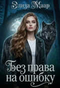 Обложка книги "Без права на ошибку"